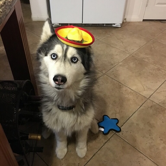 Meet your Posher, Ruth - Picture 3 of 6